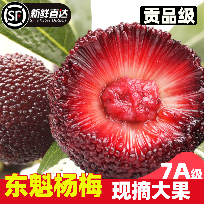 新鲜杨梅1斤大东魁杨梅酸甜当季应季水果孕妇现摘整箱非云南仙居5