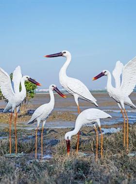室外仿真仙鹤雕塑水景池塘白鹤装饰假山花园售楼部玻璃钢白鹭摆件