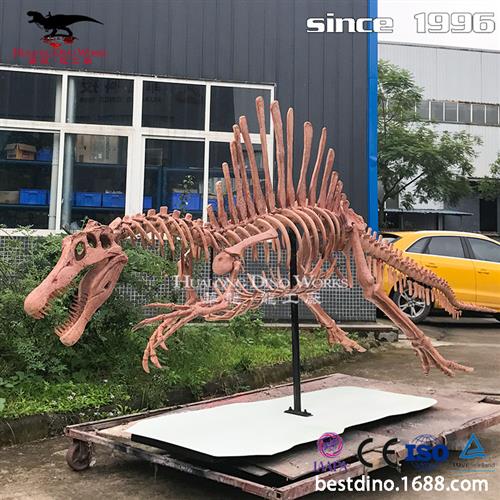 年大型仿真玻璃钢恐龙化石骨架仿真恐龙模型电影道具美陈