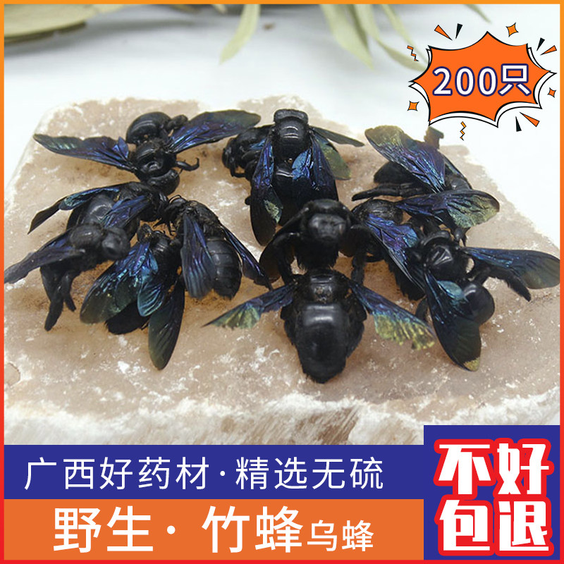 广西纯天然野生竹蜂咸竹蜂马蜂象蜂竹筒峰乌蜂200只开声茶中药材