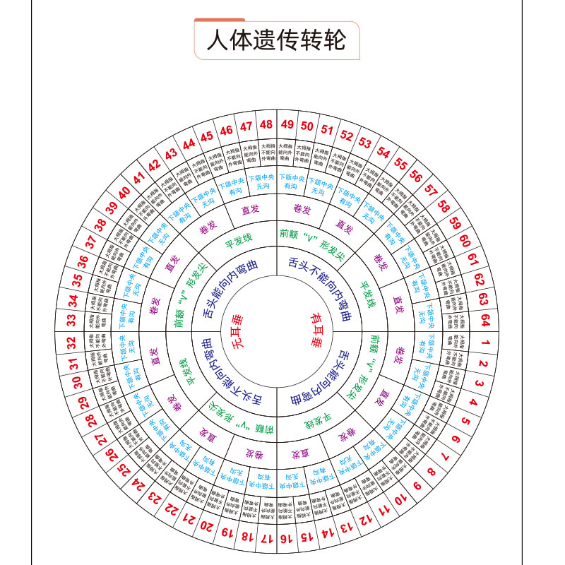 六年级下册遗传和变异植物动物的多样性人类相貌特征孟德尔实验