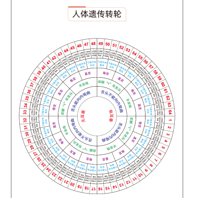 遗传和变异植物孟德尔实验卡片