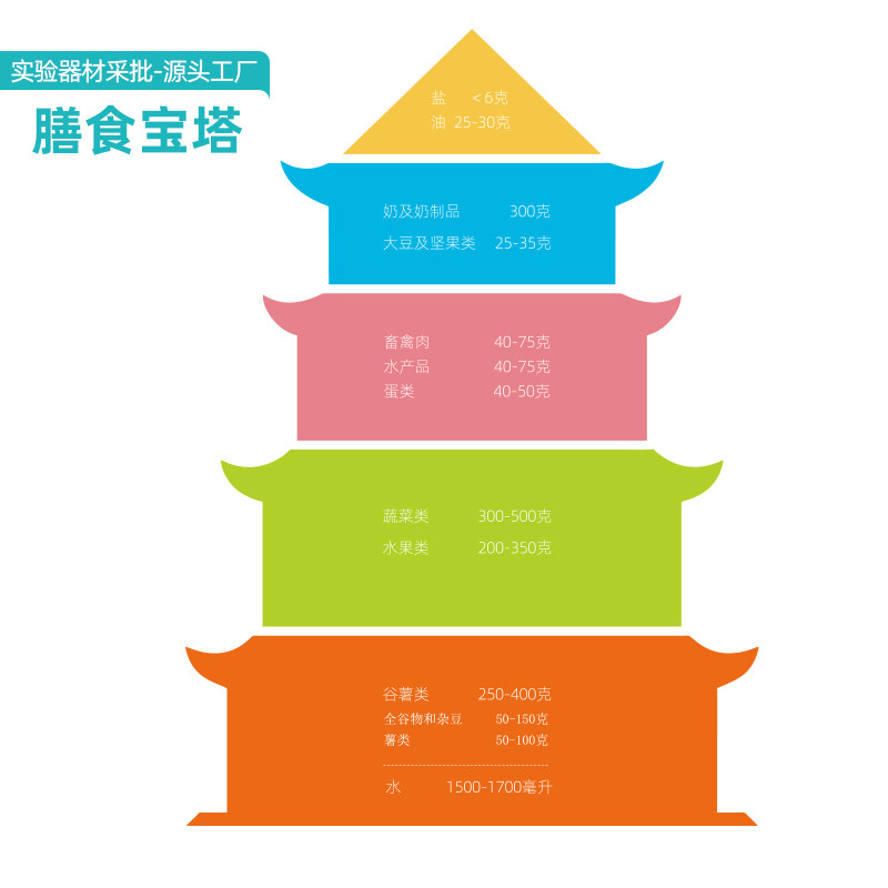 四年级上册食物分类小卡片营养膳食宝塔图片食物营养认识科学材料