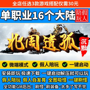 熱血傳奇單機(jī)版 電腦北周遺孤單職業(yè)16個(gè)大陸專屬沉默假人陪玩微端