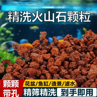火山石鱼缸专用垫底砂石造景颗粒绿植盆栽铺面疏松透气火山石颗粒