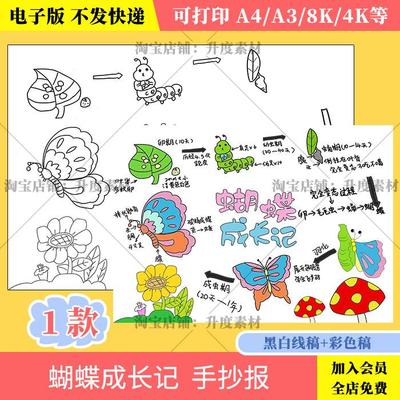 蝴蝶成长记手抄报蝴蝶自然笔记生长过程观察笔记线稿电子小报模板