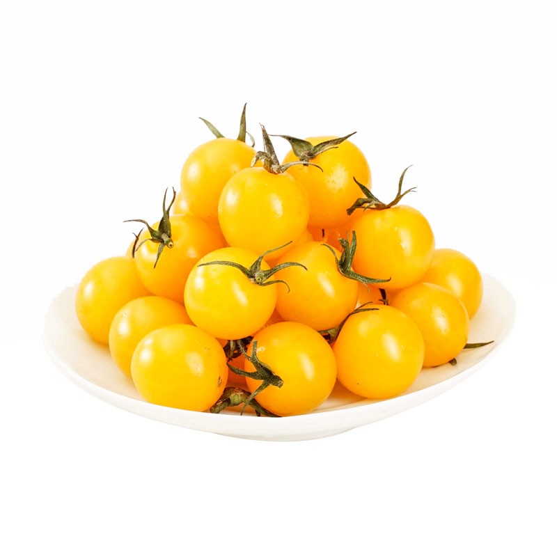 黄色圣女果种子樱桃小番茄苗蔬菜苗子西红柿种籽菜苗春天果苗孑秧