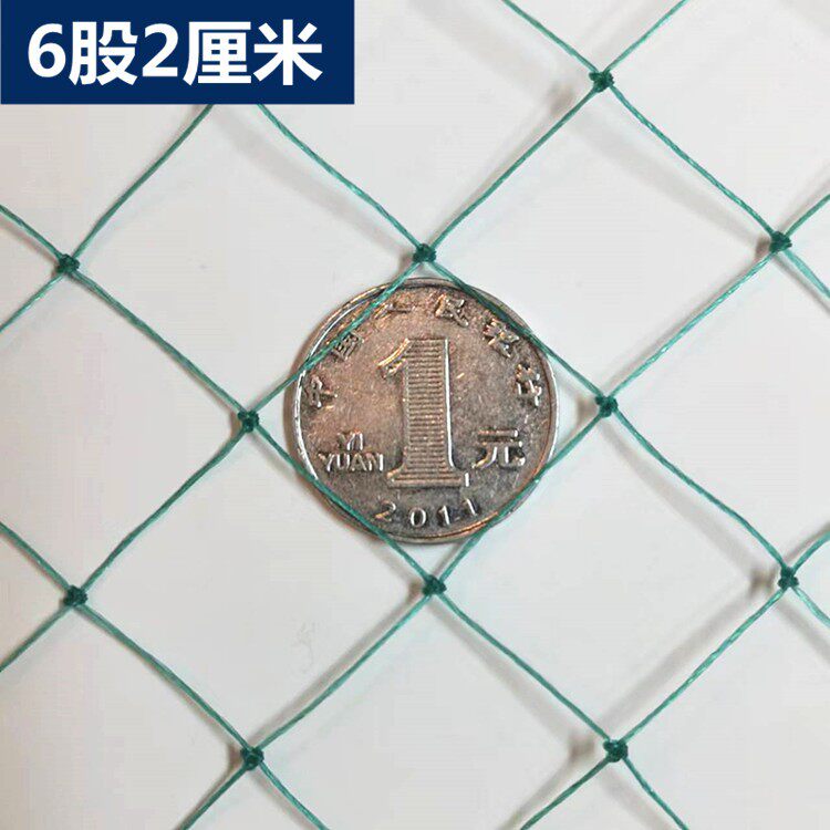 家用防鸟网养殖网尼龙网绿色网软农用防鸟网