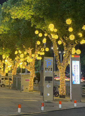 led藤球灯户外防雨防水太阳能景