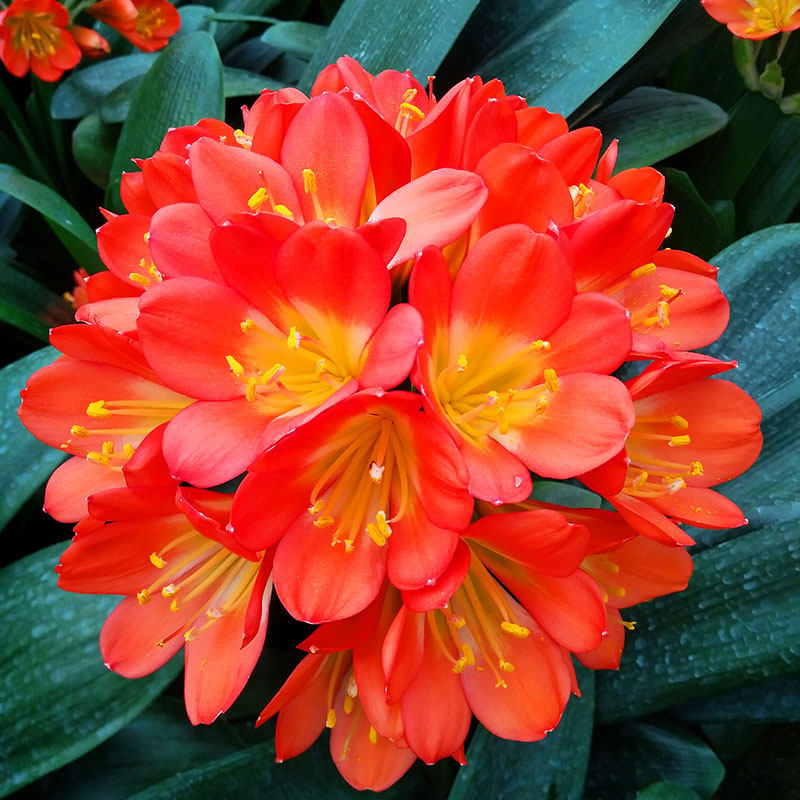 网友分享在meiguo.com的图片