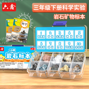 三年级下册岩石矿物标本模型四年级矿物岩石标本盒小学科学地理科普石头岩石化石活动式观察实验学生学具