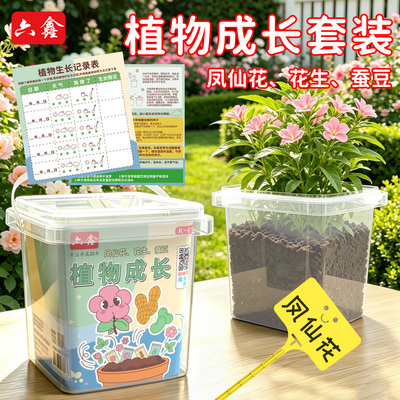 小学科学四年级下植物生长套装