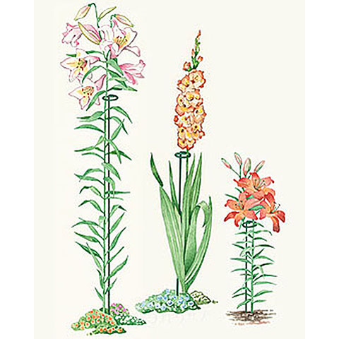 两件包邮花支柱铁艺花架花盆支架爬藤架攀爬架绣球花支撑架花支架