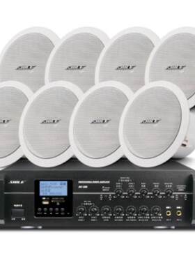 SHILE/狮乐 AV106+BX206*8一拖八吸顶音响系统6.5英寸吸顶喇叭