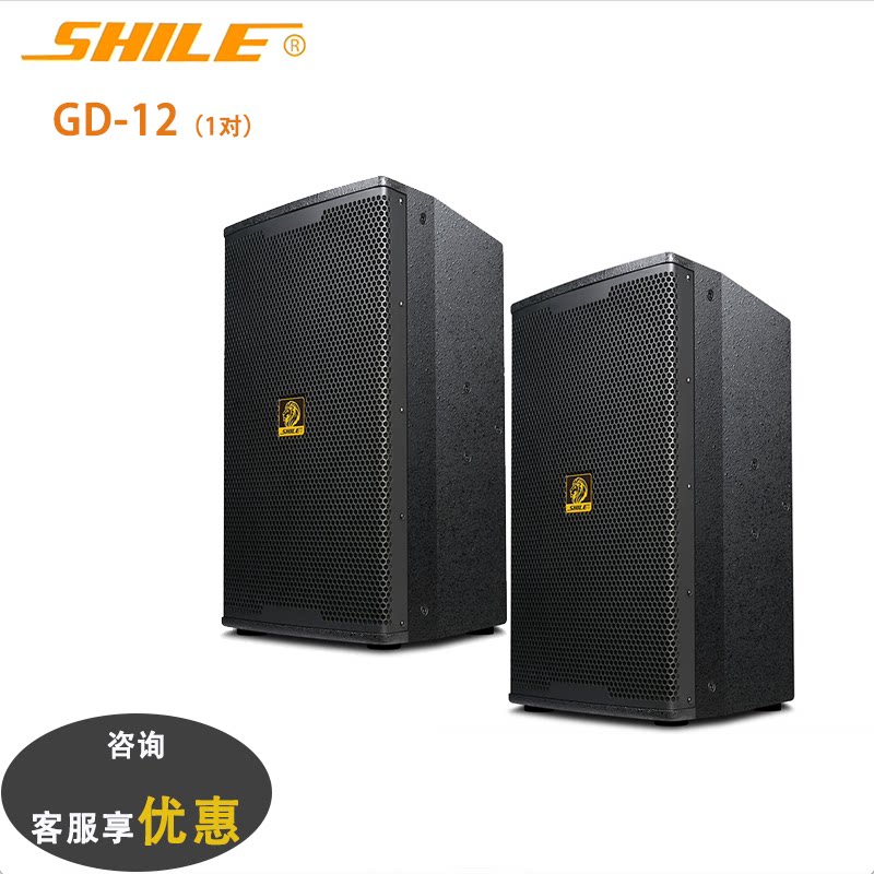 狮乐 GD-12音箱家庭影院12英寸KTV音响娱乐活动K歌会议舞台竖箱