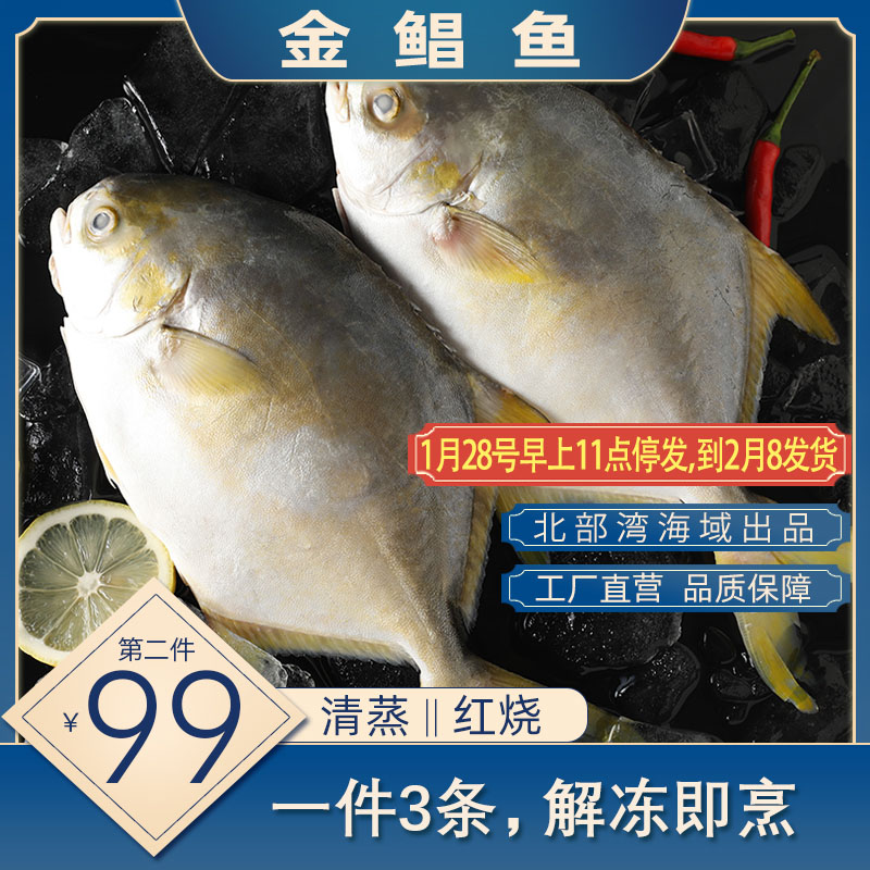 新鲜金鲳鱼海鲜三去免清洗清蒸红烧北部湾海鲳鱼3条顺丰包邮