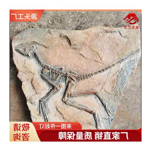 霸王龙中国龙鸟始祖鸟玻璃钢骨架化石埋藏挖掘现场儿童沙坑恐龙