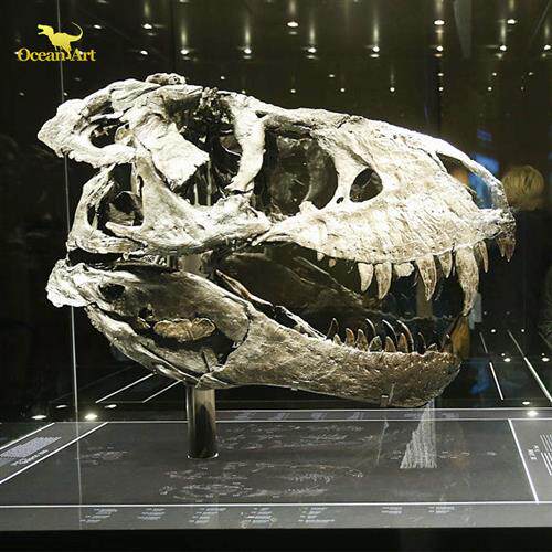 大型仿真恐龙骨架室内博物馆恐龙骨骼化石展览雕塑制作厂家