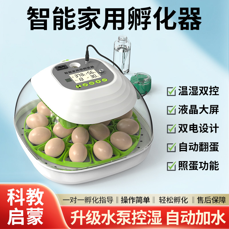 孵化器小型家用全自动小鸡鸟蛋孵化机智能小飞碟鹦鹉芦丁鸡孵蛋器
