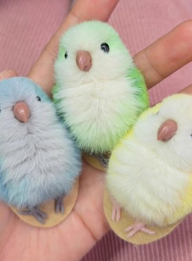 猫族趣物鹦鹉冰箱贴手工成品小鸟玄凤虎皮毛绒玩具和尚黄桃秋裤鸡