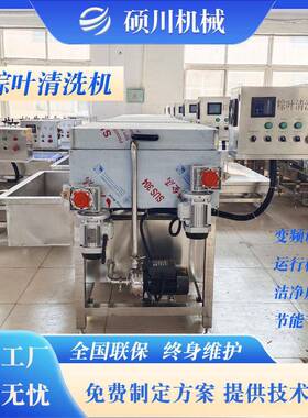 粽子洗加MAGA-102工设备 芭蕉荷叶双层毛刷叶洗叶机粽叶芦苇清机