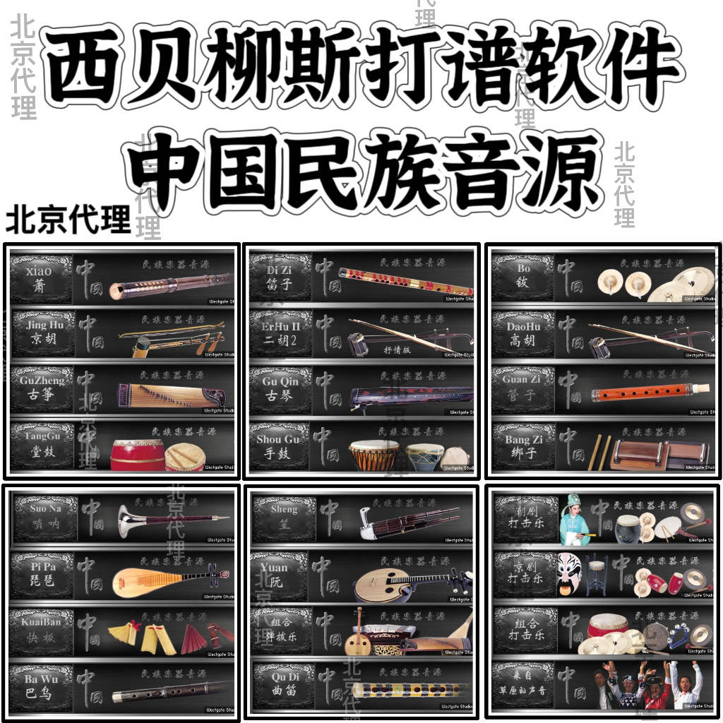 西贝柳斯打谱软件中国民族音色/音源五线谱简谱吉他中文版Win/Mac