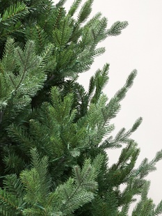 新品胖水梨老丈人圣诞树1821米加密豪华胖型北美PE圣诞树绕灯