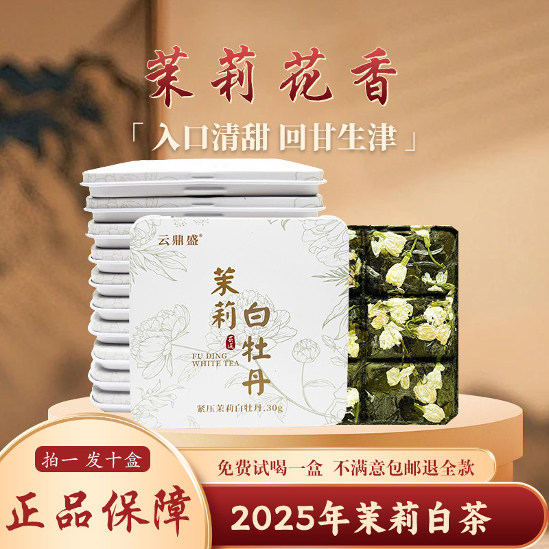 [10盒装2025新茉莉花茶]茉莉白牡丹广西横县福鼎白茶冷泡花香水甜
