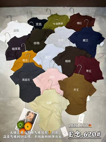 Ｅ念620秋季设计感超好看正肩半高领短袖T恤女漂亮修身显瘦短上衣