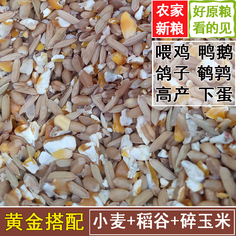 碎玉米粒稻谷混合物喂鸡玉米粉碎渣玉米糁鸡鸭粮食鸽子粮兔猪仓鼠