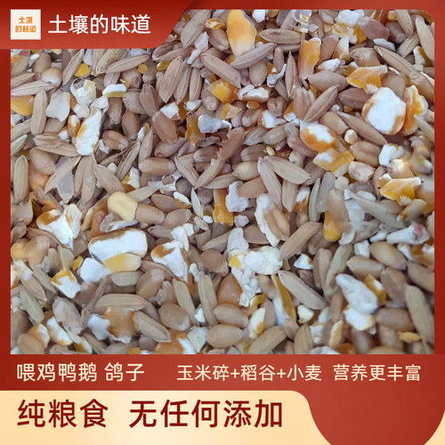 碎玉米粒稻谷混合物喂鸡玉米粉碎渣玉米糁鸡鸭粮食鸽子粮兔猪仓鼠
