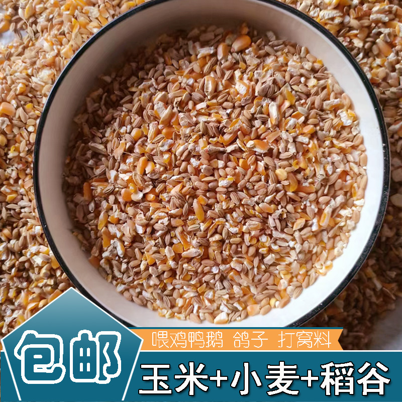 碎玉米粒稻谷混合物喂鸡玉米粉碎渣玉米糁鸡鸭粮食鸽子粮兔猪仓鼠