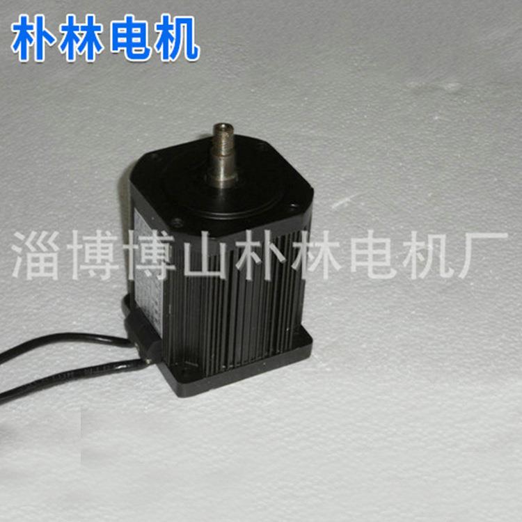 厂家高精度无刷直流电动机直流涡轮减速电机100WS40-300