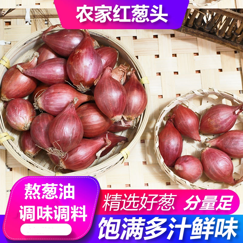 新鲜红葱头干葱头广东小香葱头种子火葱四季葱种做油葱酥肠粉卤肉