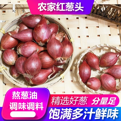 新鲜红葱头干葱头广东小香葱头种子火葱四季葱种做油葱酥肠粉卤肉