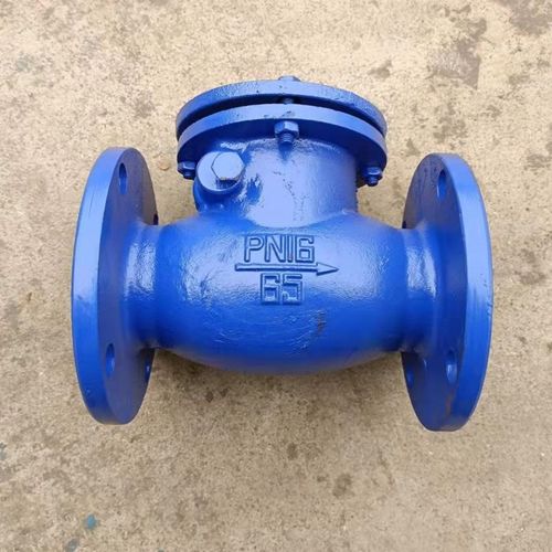 H44T-10铸铁法兰止回阀 旋启式止回阀dn50 65 80 100 125 150