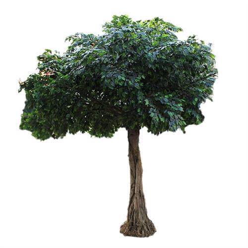 仿真榕树厂家直销仿真植物玻璃钢仿真榕树加工适用多场地易搭配