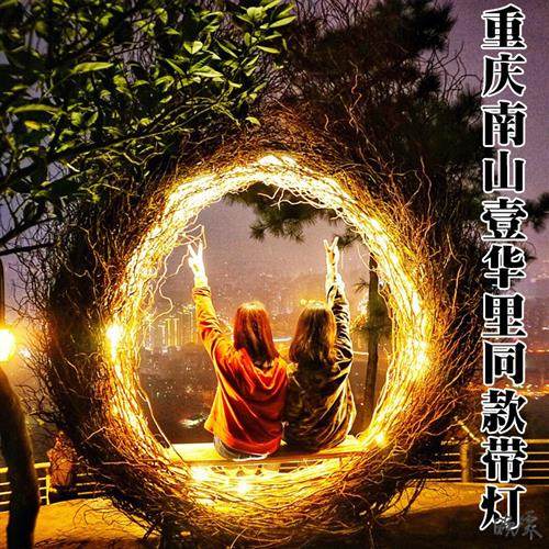 鸟巢窝拍照岛网红鸟巢庭院民宿户外秋千悬挂室内打卡婚纱爱心山区