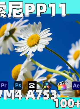 索尼pp11照片sony视频a7s3灰片a7m4后期调色还原预设风格滤镜LUT