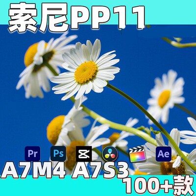 索尼pp11照片sony视频a7s3灰片a7m4后期调色还原预设风格滤镜LUT