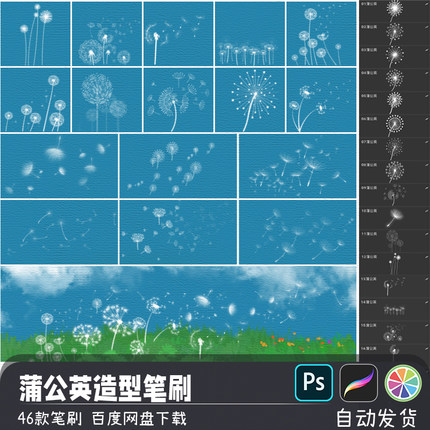 植物飞絮飘絮蒲公英造型PS/SAI2笔刷预设procreate画笔绘画素材