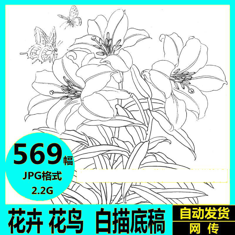 花卉花鸟白描底稿工笔画国画高清图片电子版线描练习稿临摹素材