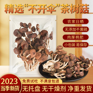 茶树菇干货500g新货无硫农家日晒不开伞干茶树菇干香菇土特产煲汤