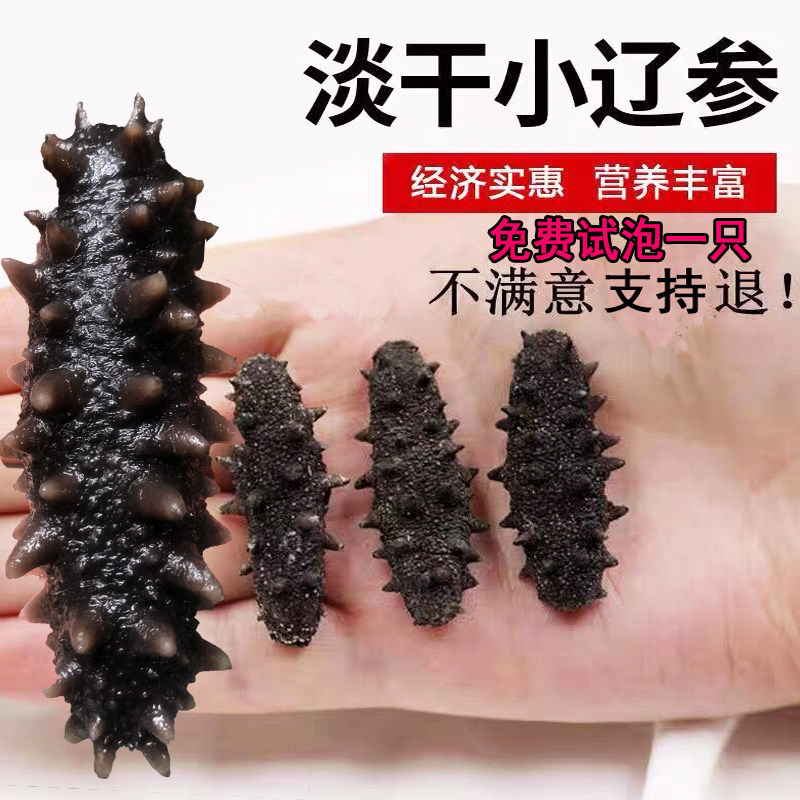 淡干海参刺参特价干海参大连干货干品/即食海参