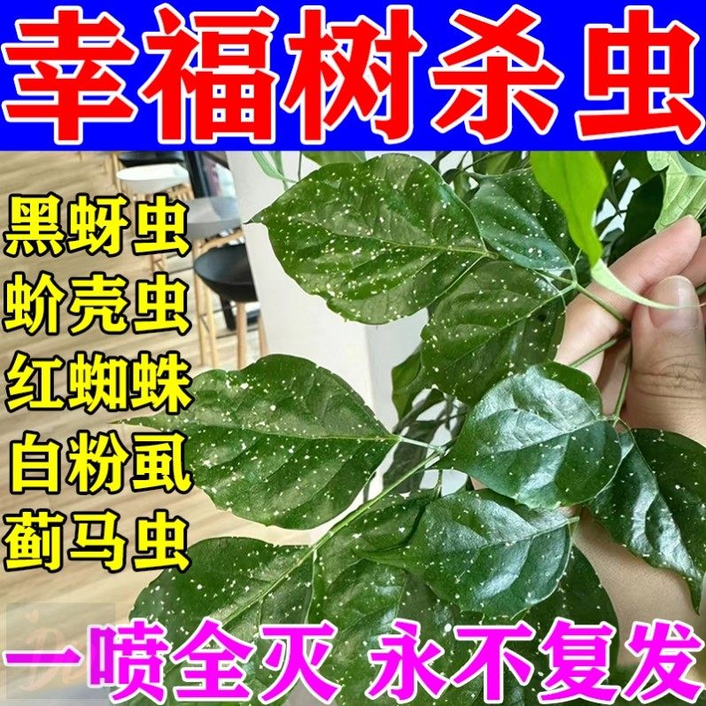 幸福树杀虫药植物杀虫剂除蚜虫蚧壳虫红蜘蛛白粉虱专用杀虫灭卵剂,鲜花速递/花卉仿真/绿植园艺,家庭园艺肥料,淘宝优惠券,粉丝福利购,淘宝优惠卷