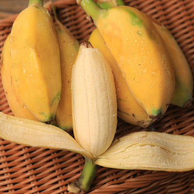 正宗苹果粉蕉新鲜小香蕉自然熟广东苹果蕉皇帝芭蕉水果banana