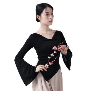 新款古典舞蹈服女飘逸纱衣舞蹈古典中国舞舞蹈服古风练功服上衣