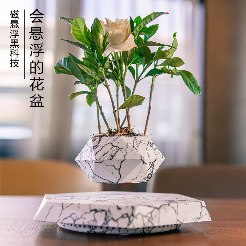 创意桌面磁悬浮盆栽轻奢家居北欧风小花盆办公氛感围反重力摆件