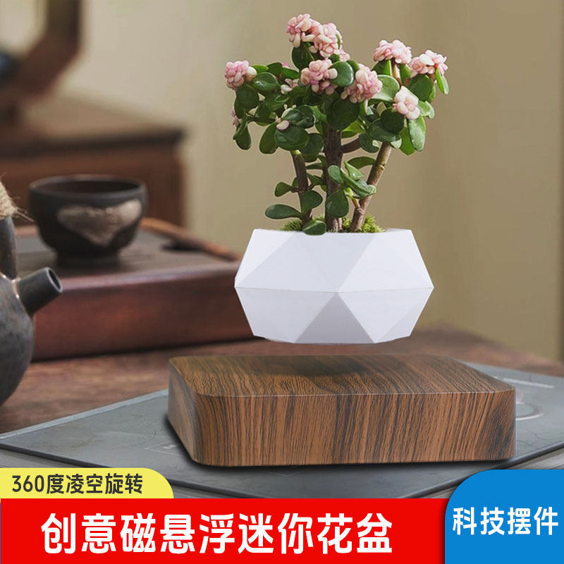 磁悬浮盆栽创意盆景diy花盆悬浮空中盆栽桌面摆件反重力黑科技