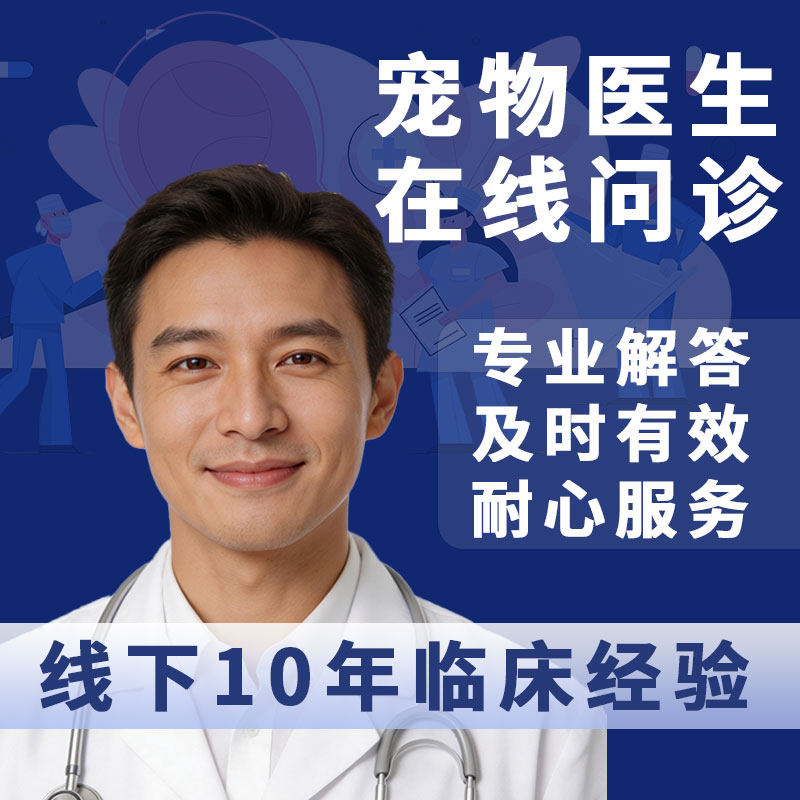 宠物医生兽医在线上问诊猫咪咨询医院专业诊断狗狗24小时紧急看病